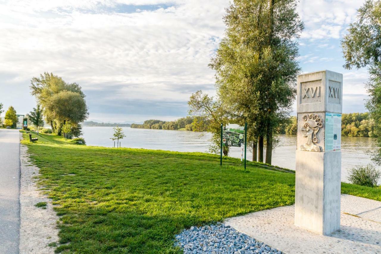 Camping&Pension Au an der Donau Bagian luar foto