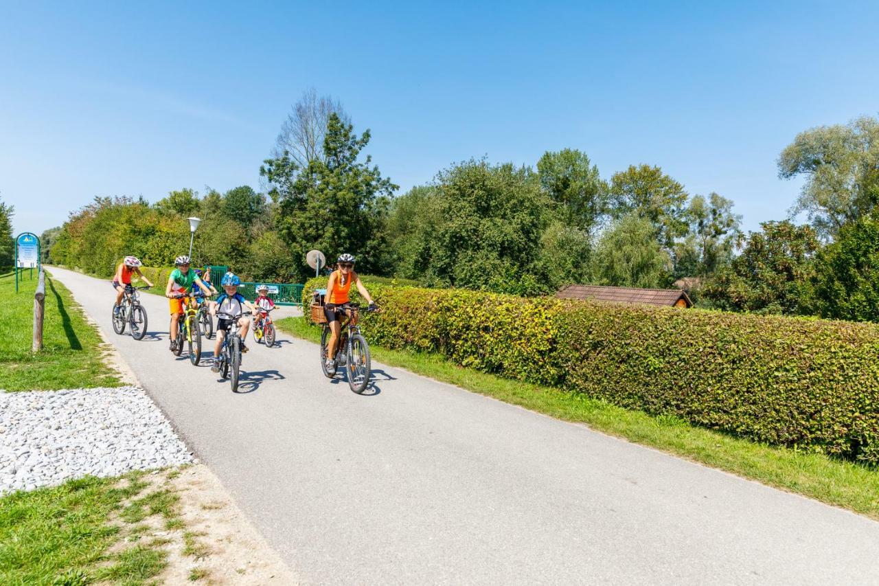 Camping&Pension Au an der Donau Bagian luar foto